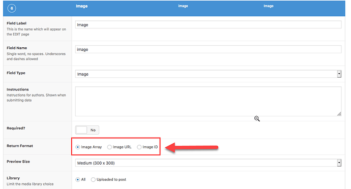 Screenshot highlighting Return format option